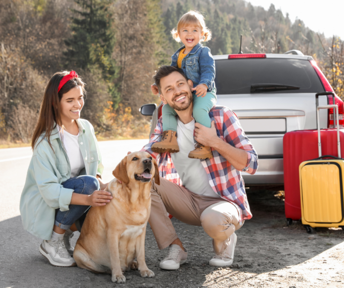 Viaggiare con amici a quattro zampe- Direzione Hotel Viaggiare con amici a quattro zampe- Direzione Hotel