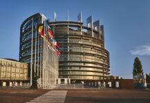 L’associazione “La Fenice” di Palma Campania porta la mostra “Donne e Disabilità” alla sede del Parlamento europeo di Strasburgo L’associazione “La Fenice” di Palma Campania porta la mostra “Donne e Disabilità” alla sede del Parlamento europeo di Strasburgo