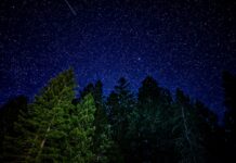 Come creare esperienze memorabili per gli ospiti: 5 consigli per vivere momenti unici