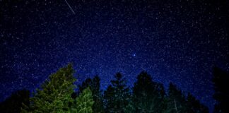 Come creare esperienze memorabili per gli ospiti: 5 consigli per vivere momenti unici