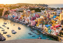 Webinar GreenTour 10 e 14 Luglio: Come seguire i due incontri e sbloccare i fondi per il Turismo Sostenibile Webinar GreenTour 10 e 14 Luglio: Come seguire i due incontri e sbloccare i fondi per il Turismo Sostenibile - Direzione Hotel
